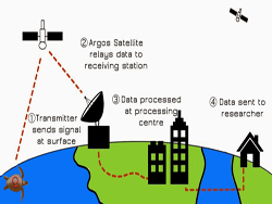 transmitter-data-path_sm